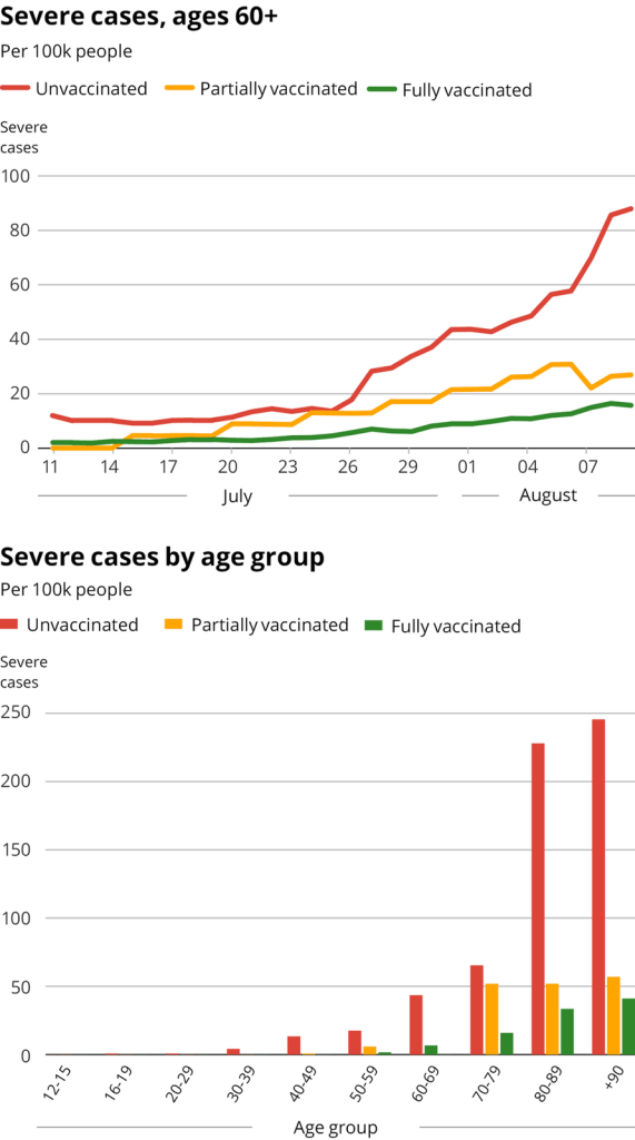 Cette image a un attribut alt vide ; le nom du fichier est image-33.png